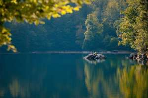 Lake Erosion Control